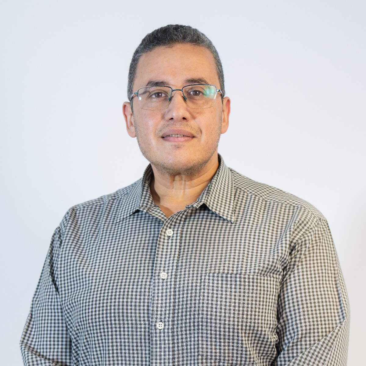 Prof. Ahmed H. Madian